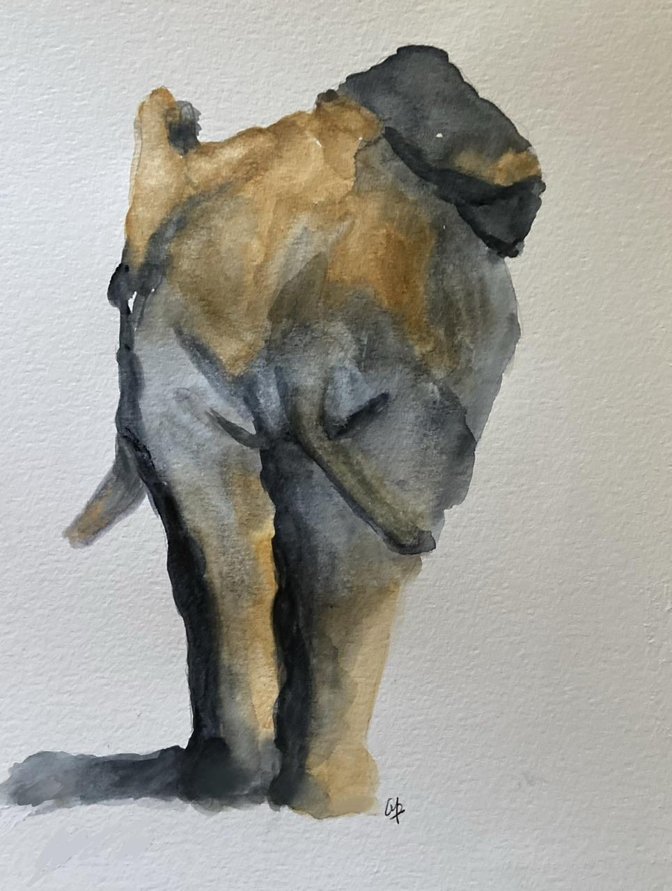 Watercolour painting. The direct approach - image 1 - student project