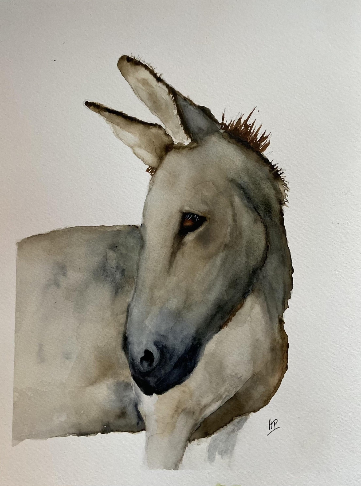 Donkey free flow masterclass with Jane Davies - image 1 - student project