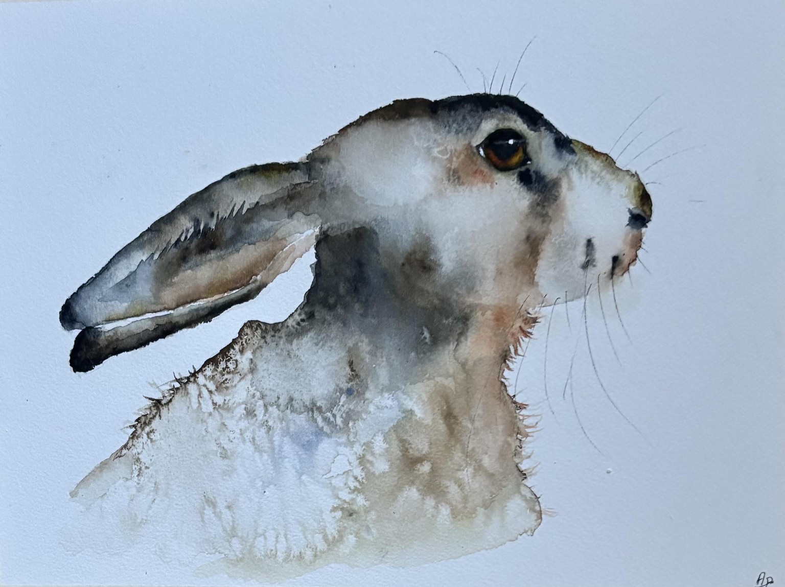 Summer Hare:master watercolour class with Jane Davies - image 1 - student project