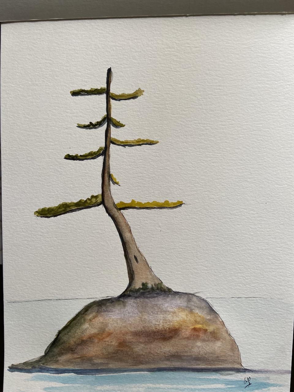 Windswept pines in watercolour - image 1 - student project