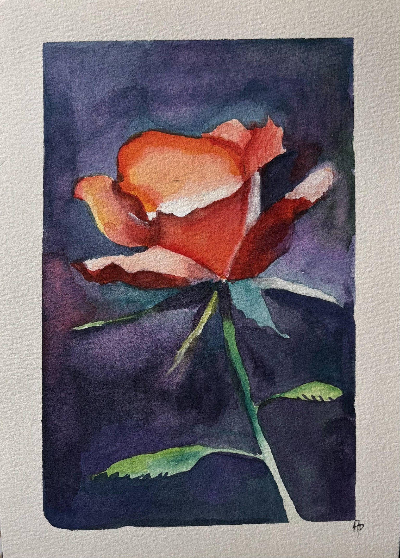 Powerful watercolour exercises with Will Elliston - image 1 - student project