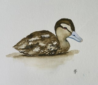 Duckling watercolour wet on wet - image 1 - student project