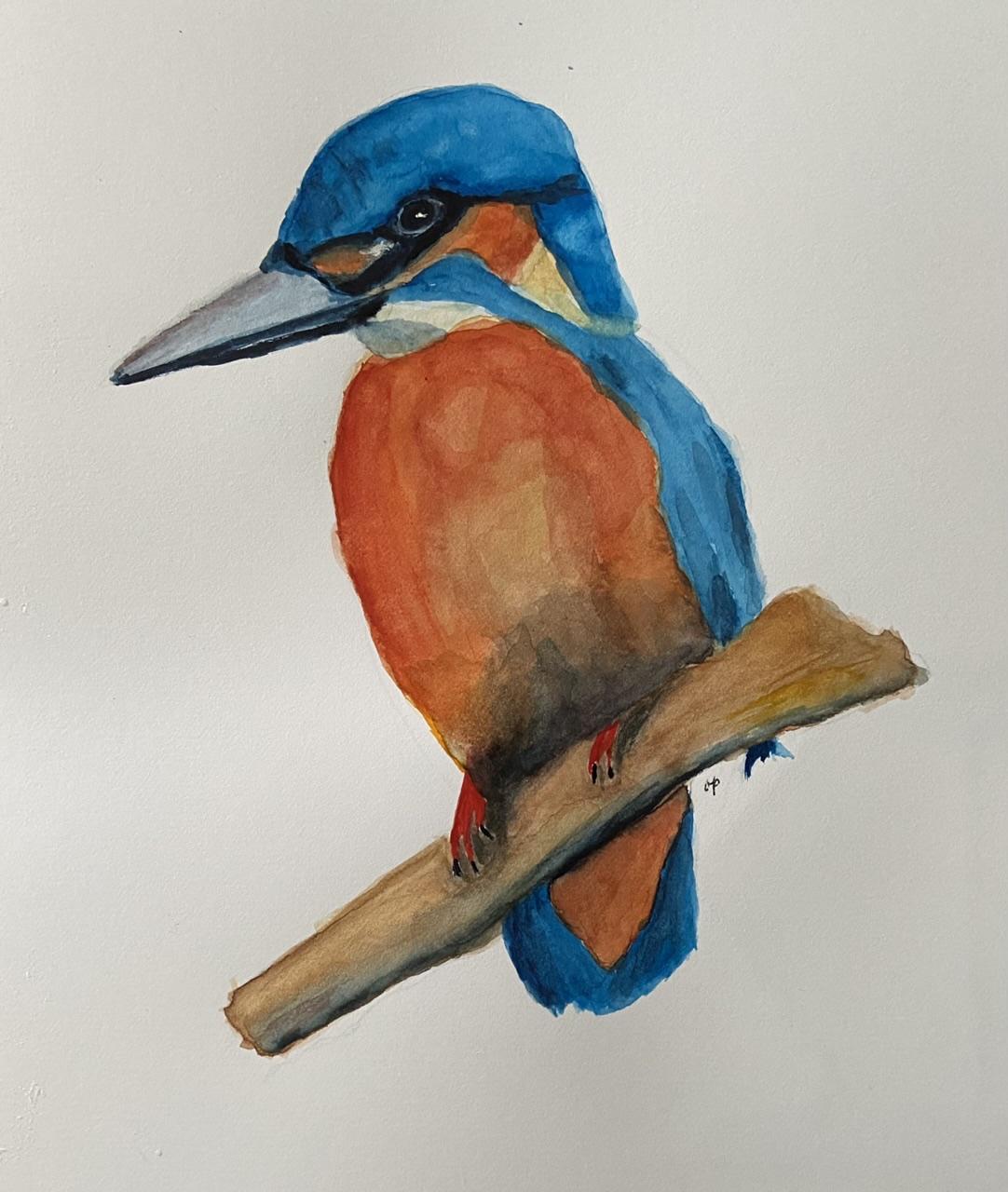 Watercolour kingfisher - image 1 - student project