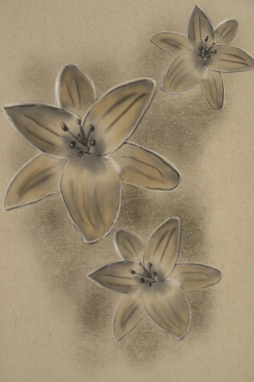 Digital sketchbook in procreate - image 1 - student project