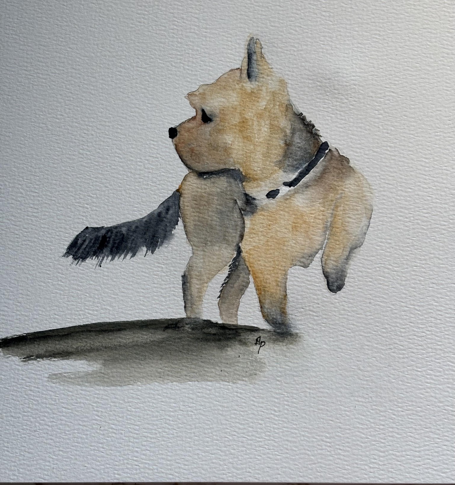 Yorkshire Terrier watercolour with Nadine Dudek - image 1 - student project