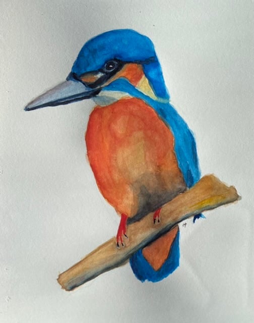 Watercolour kingfisher - image 2 - student project