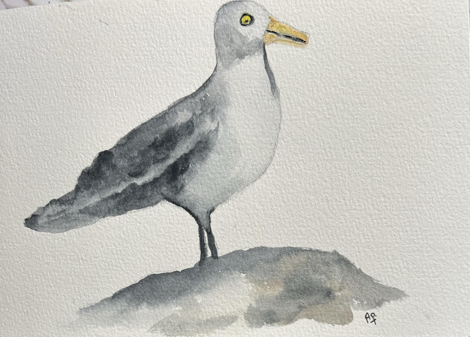 Loose watercolour birds with Patrick Visser - image 2 - student project