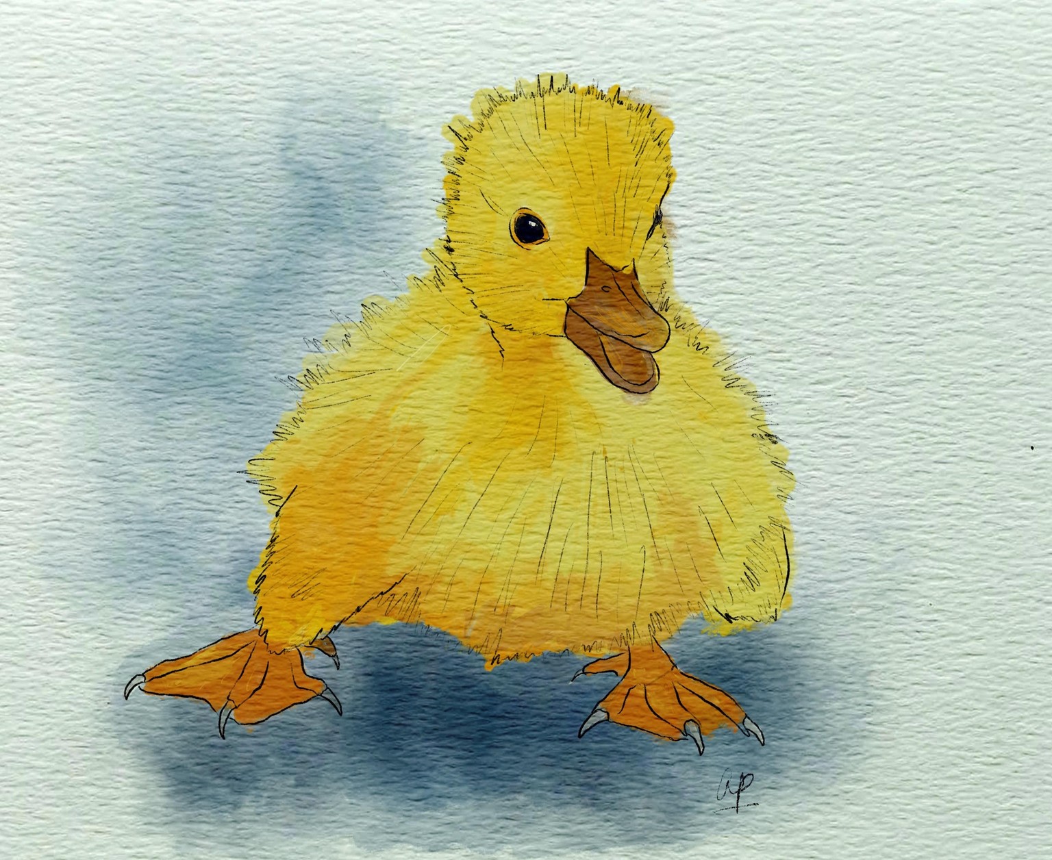 Painting birds in different styles in procreate,watercolour,pencil,Gouache - image 1 - student project