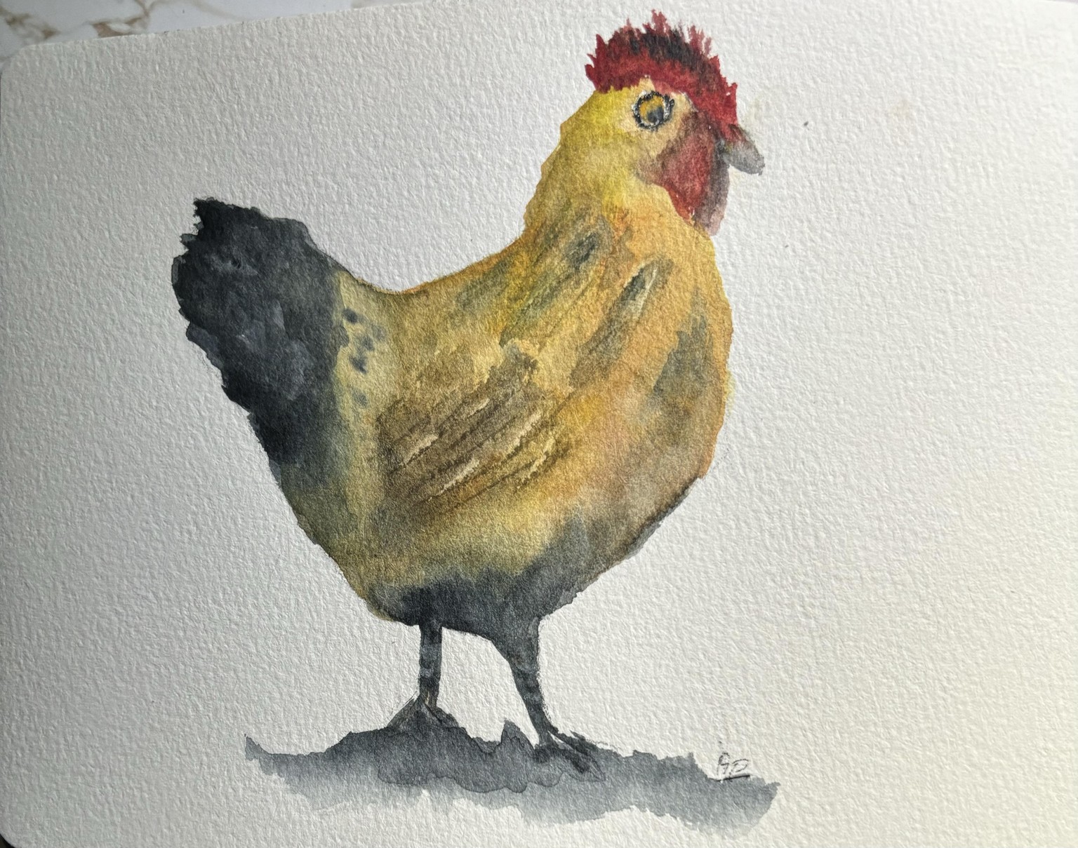 Loose watercolour birds with Patrick Visser - image 1 - student project