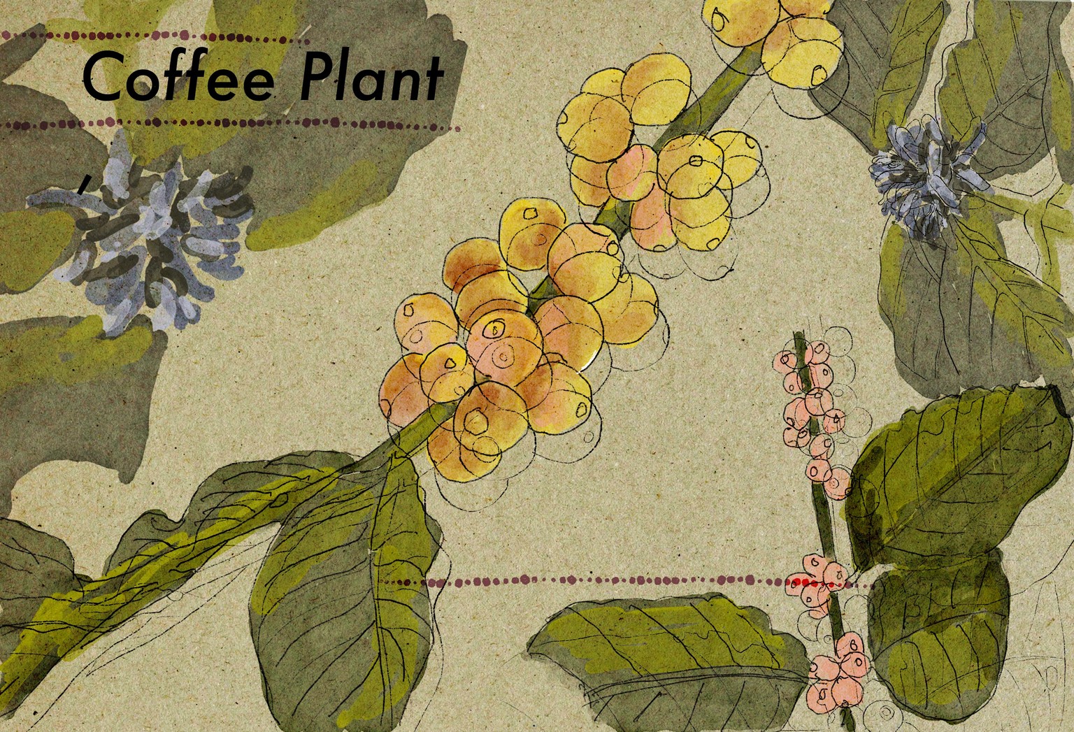 Coffee Poster - image 1 - student project