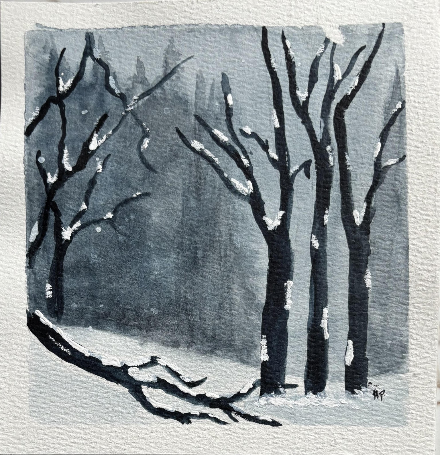 Snow capped winter landscape with Sukrutha Jagirdhar - image 1 - student project