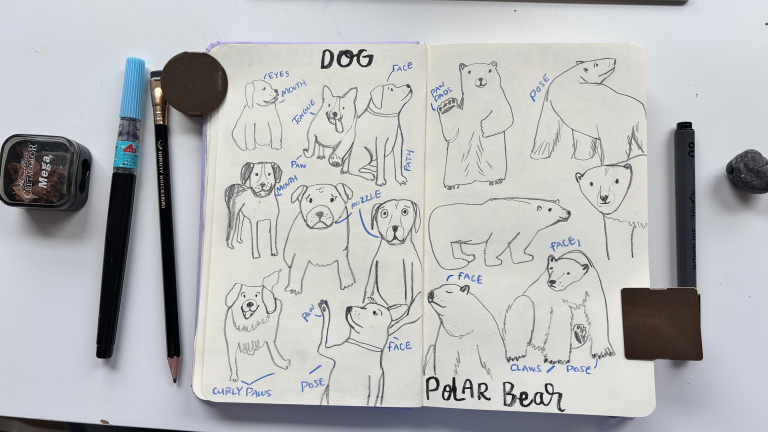 Animal confidence! - image 4 - student project