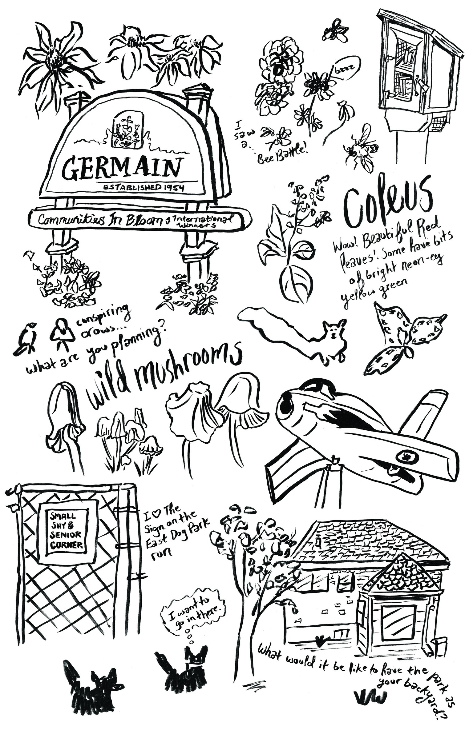 Taxonomy of Our Local Park - image 2 - student project