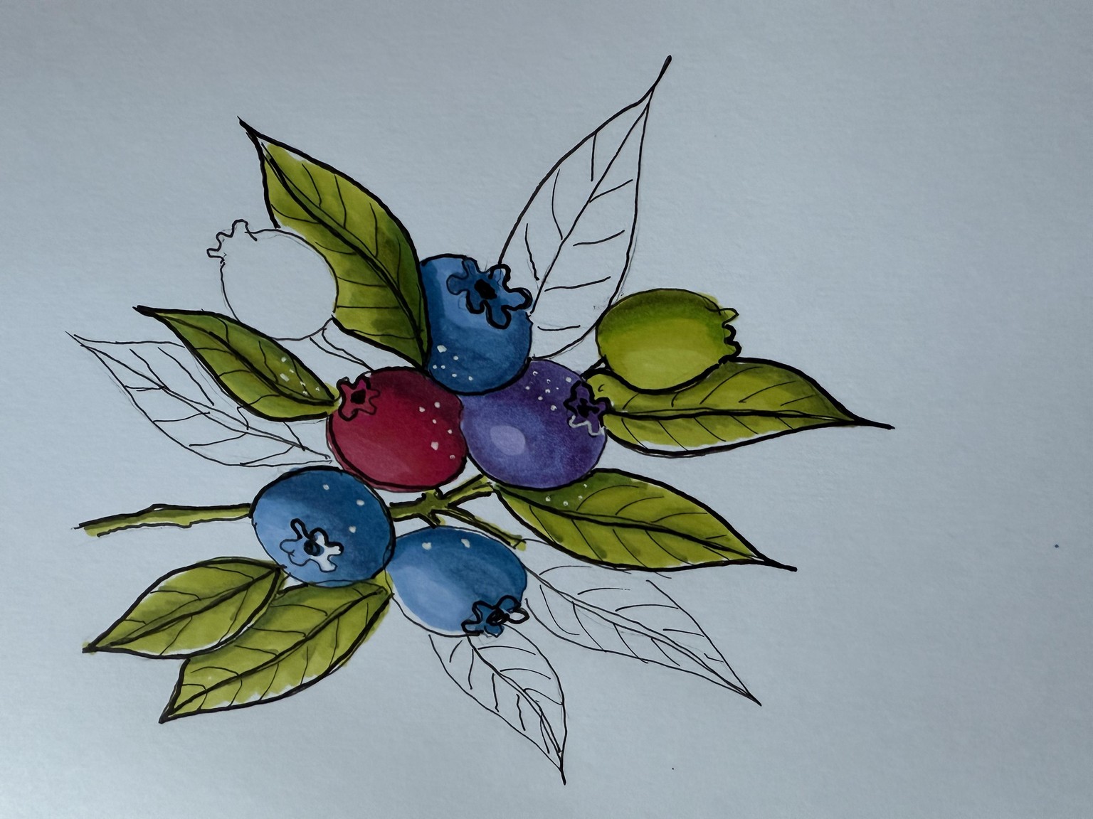 Expressive Fruits and Berries - image 2 - student project