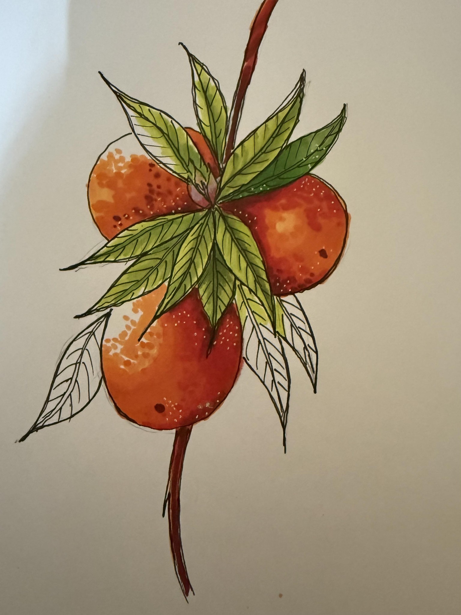 Expressive Fruits and Berries - image 1 - student project
