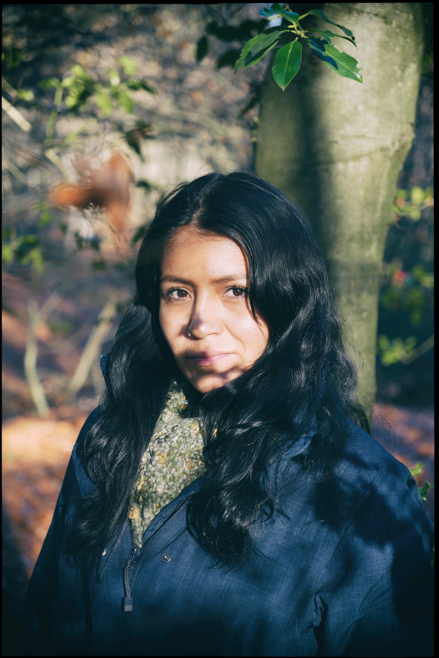 natural light in the forest - image 2 - student project