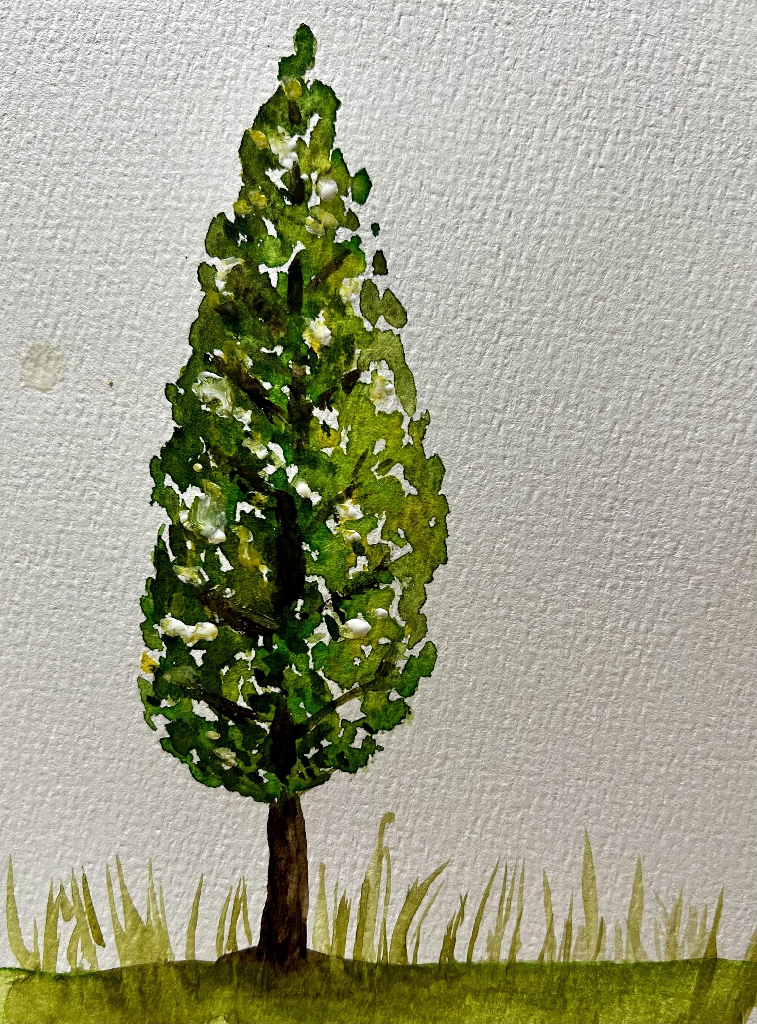 Poplar - image 1 - student project