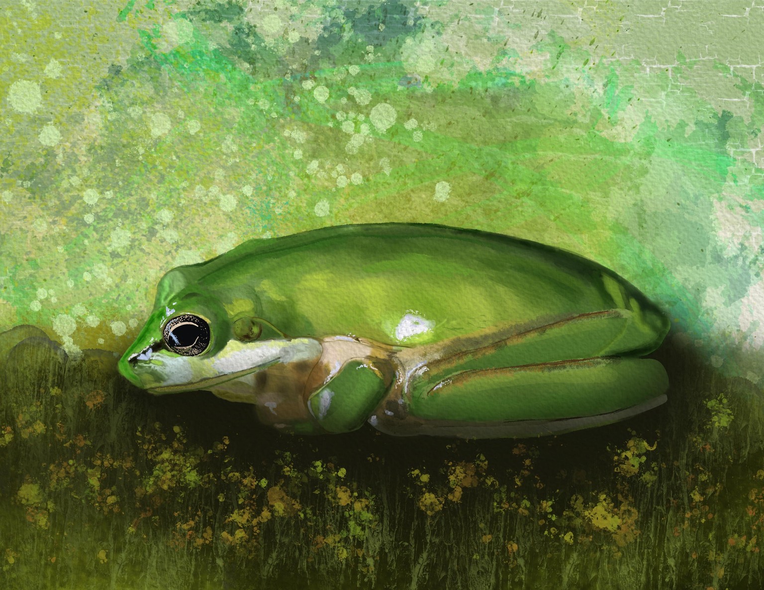 Environmental Canary - image 1 - student project