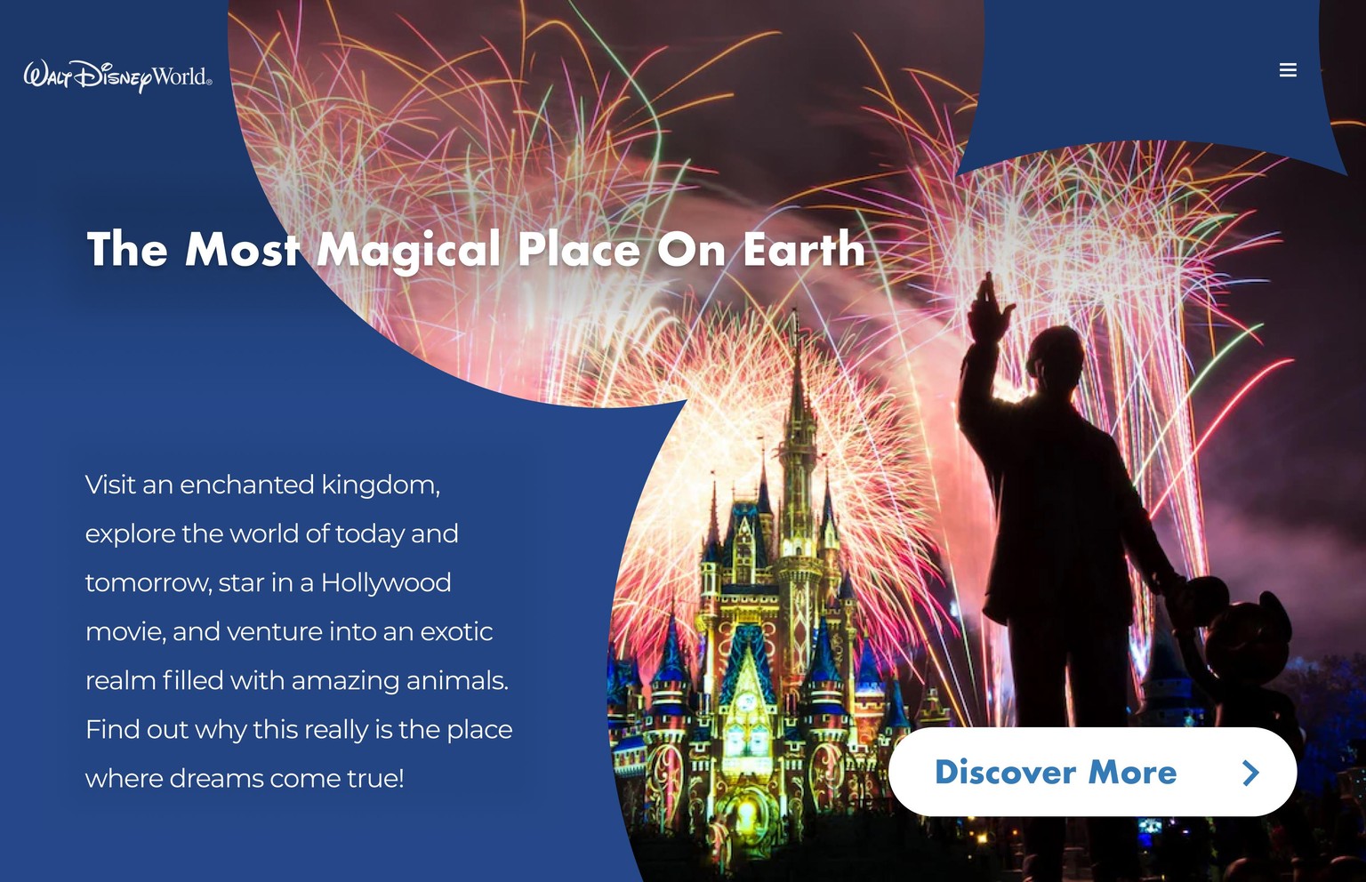 Walt Disney World site page - image 1 - student project