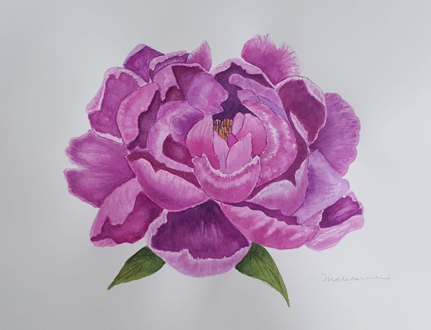 Purple, Coral and Pink Peonies - image 1 - student project