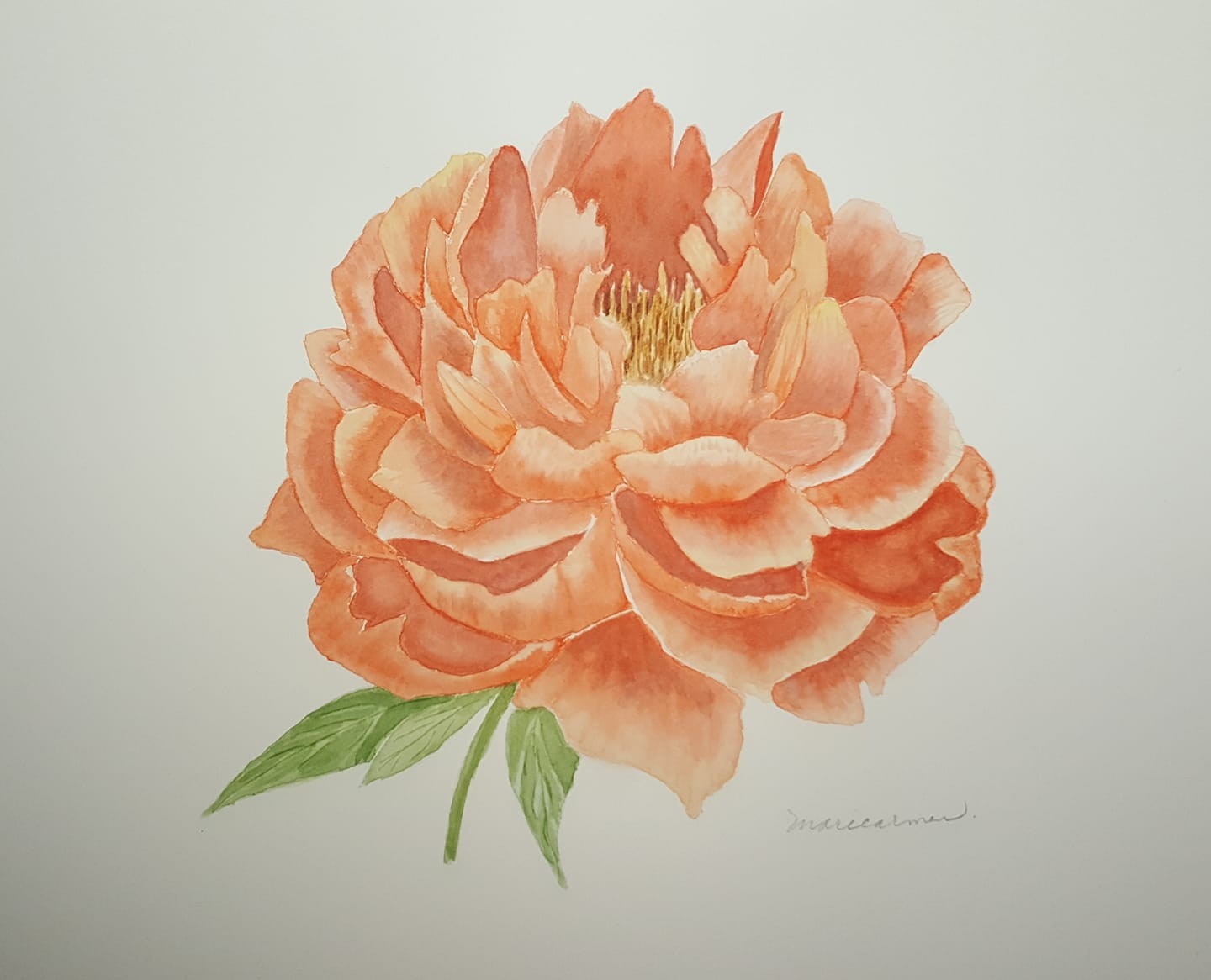Purple, Coral and Pink Peonies - image 2 - student project