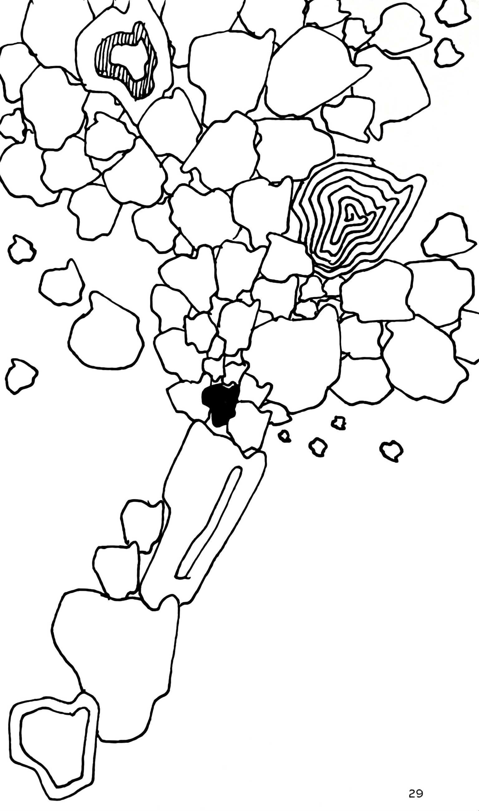 Creative exercises - image 1 - student project