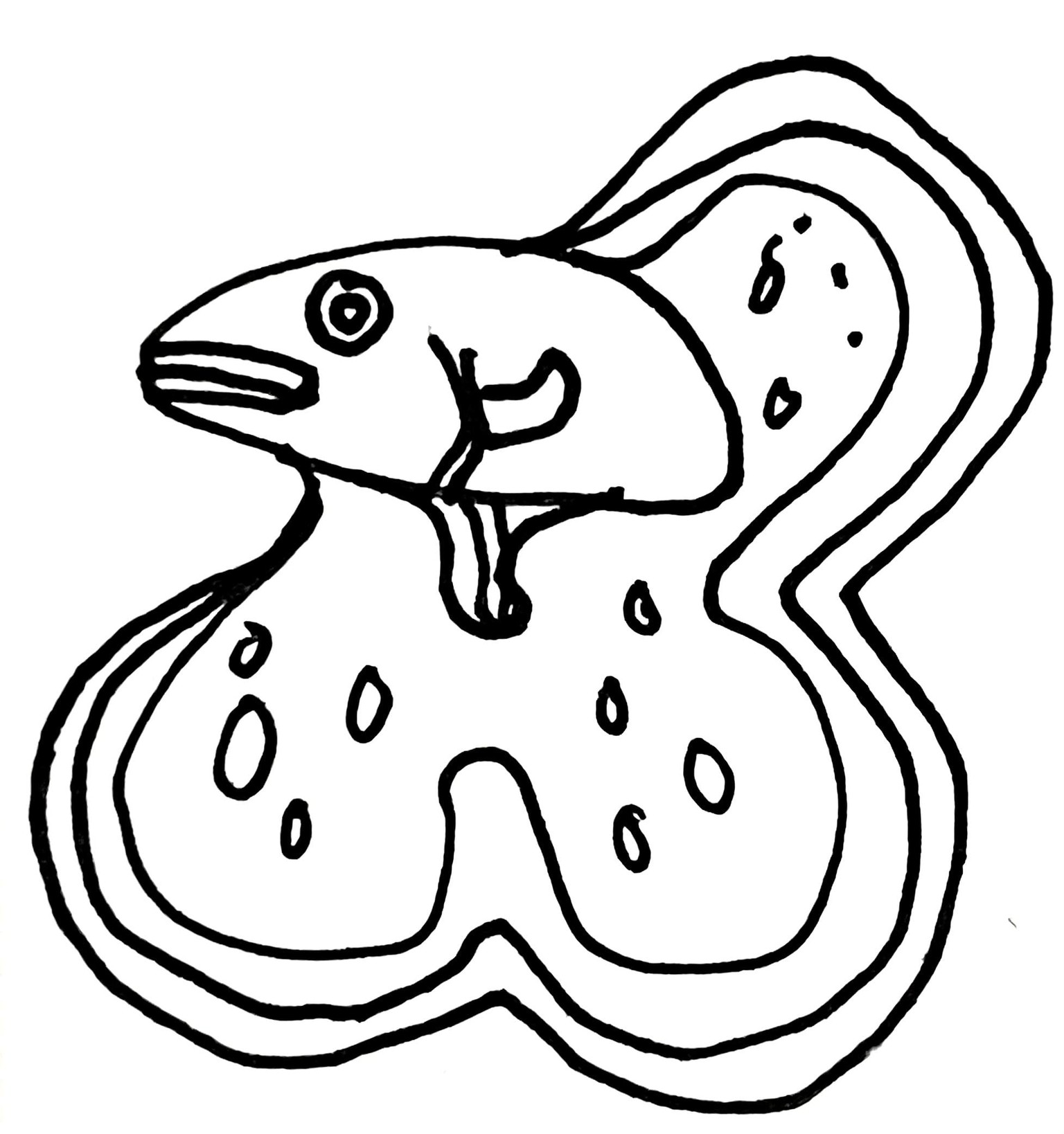 Fun animals - image 2 - student project