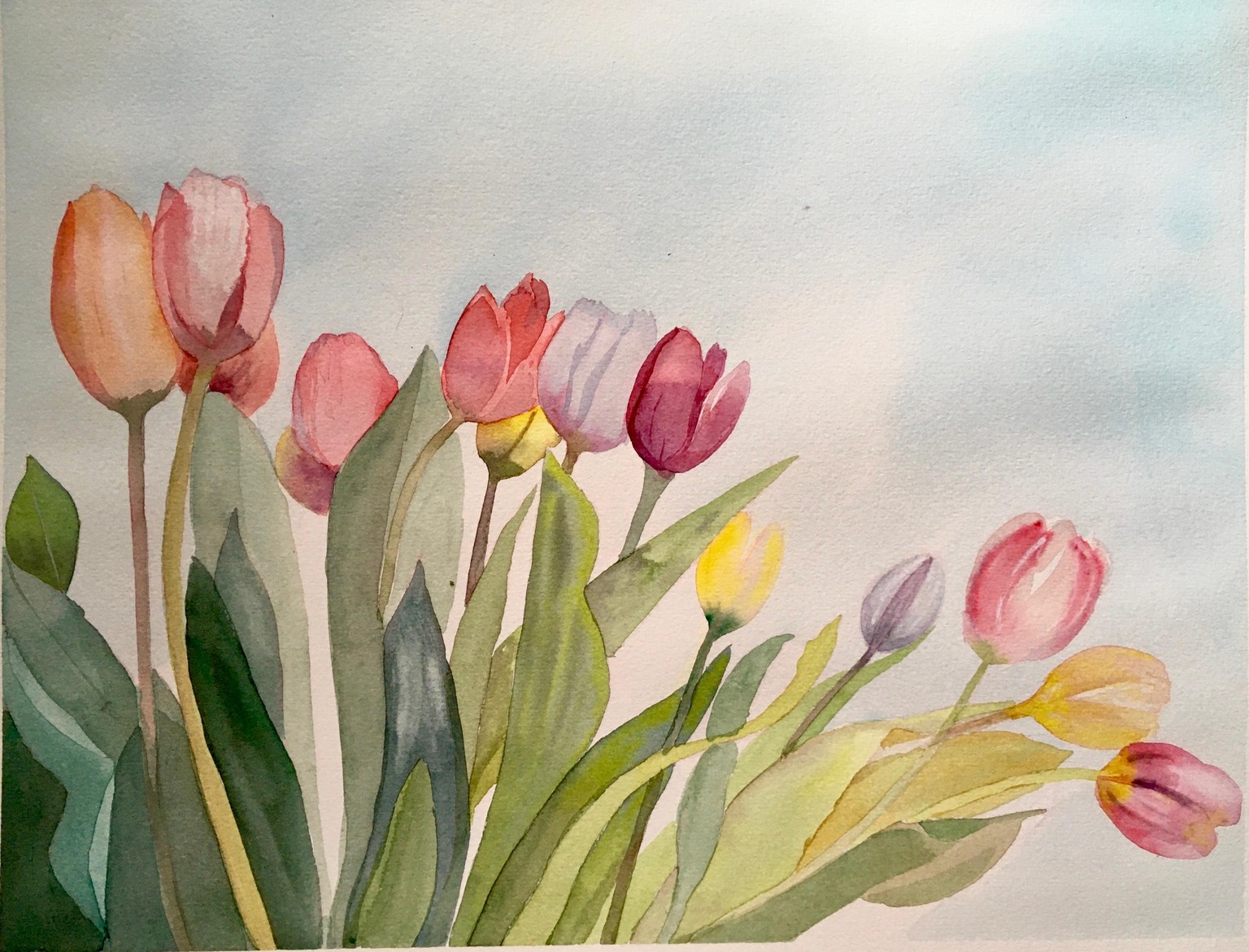 spring - image 2 - student project