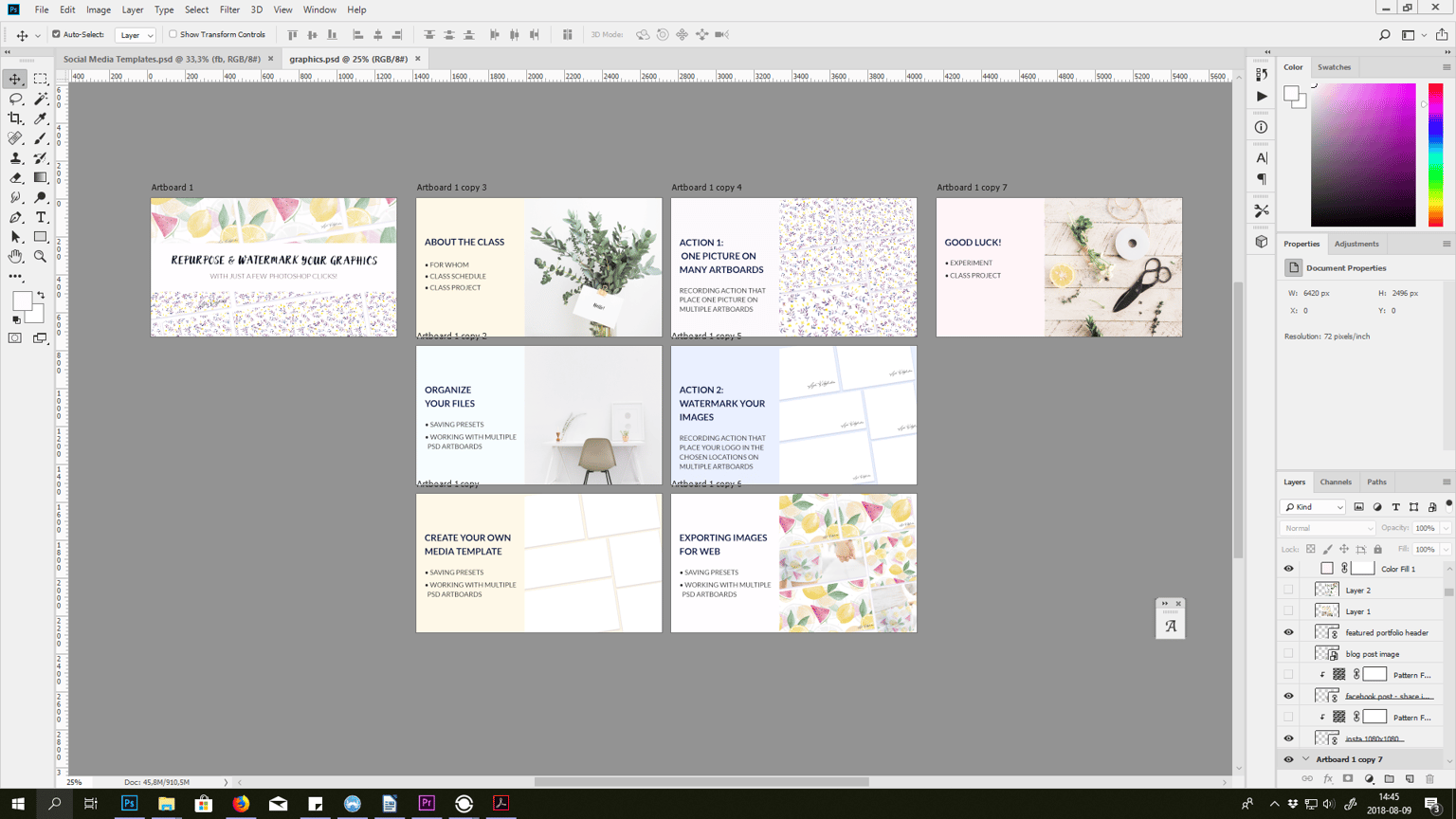 Koala image set :) - image 2 - student project