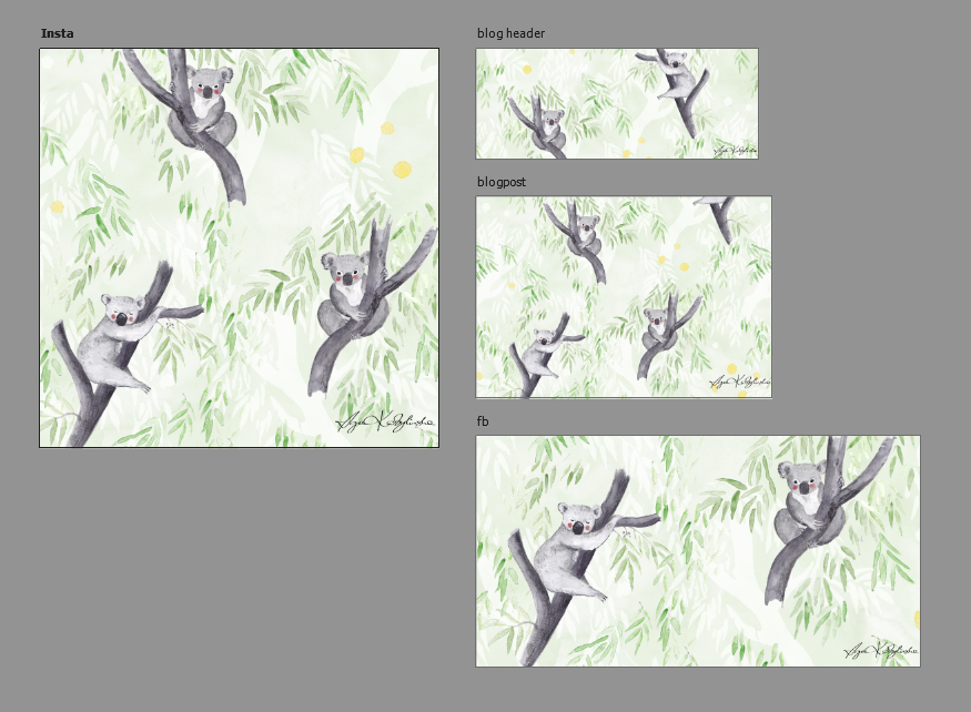 Koala image set :) - image 1 - student project