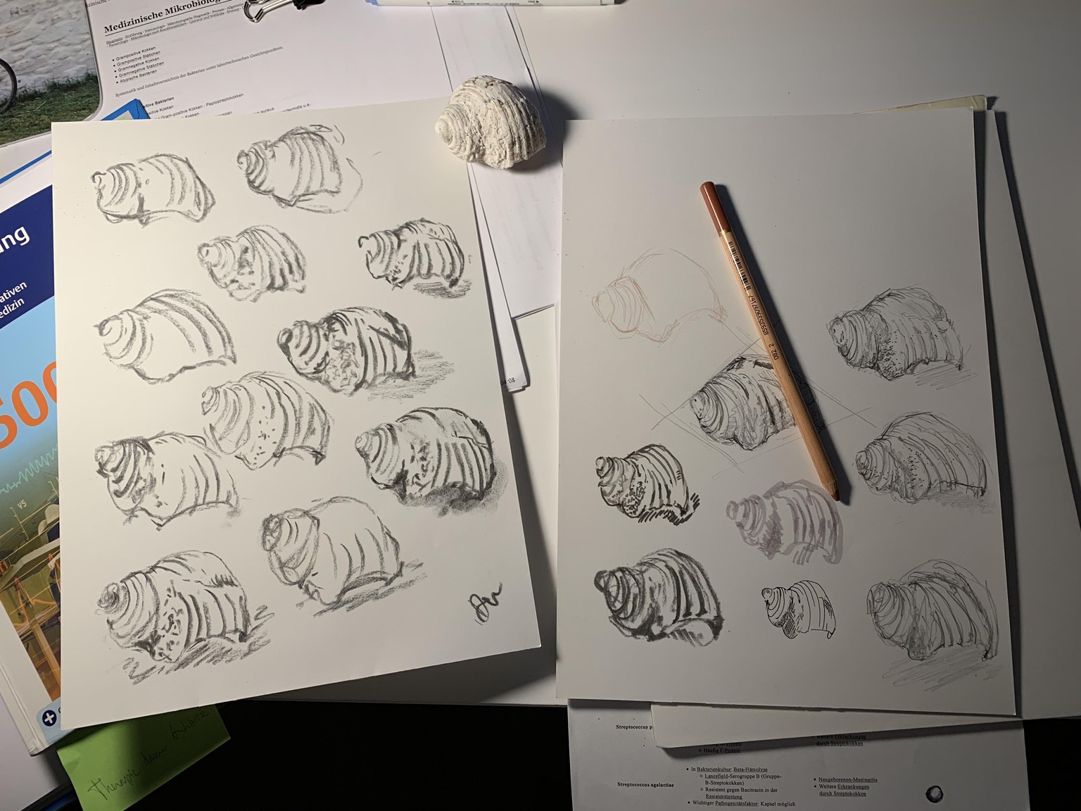 Searching for my line... great course Jen! Looking towards your bootcamps! :D - image 4 - student project