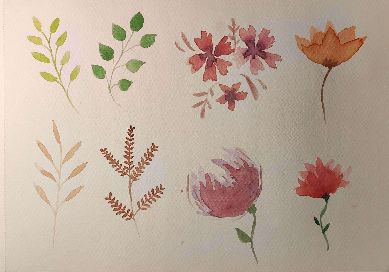 Exercises - image 1 - student project
