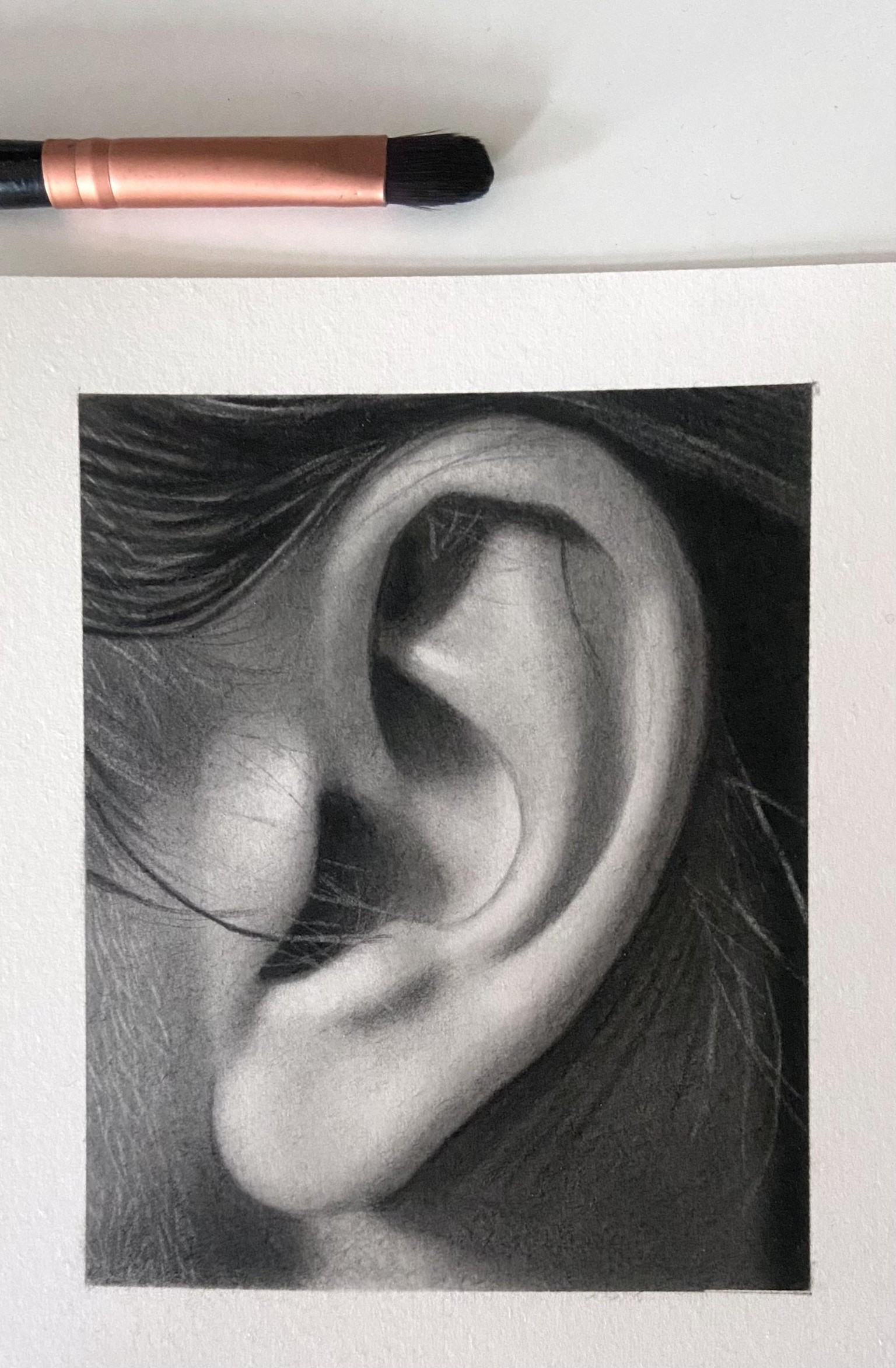 Hyperrealistic Ears - image 2 - student project
