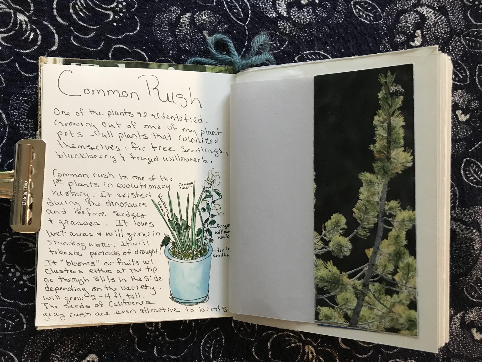 Scribbler's Notebooks - image 1 - student project