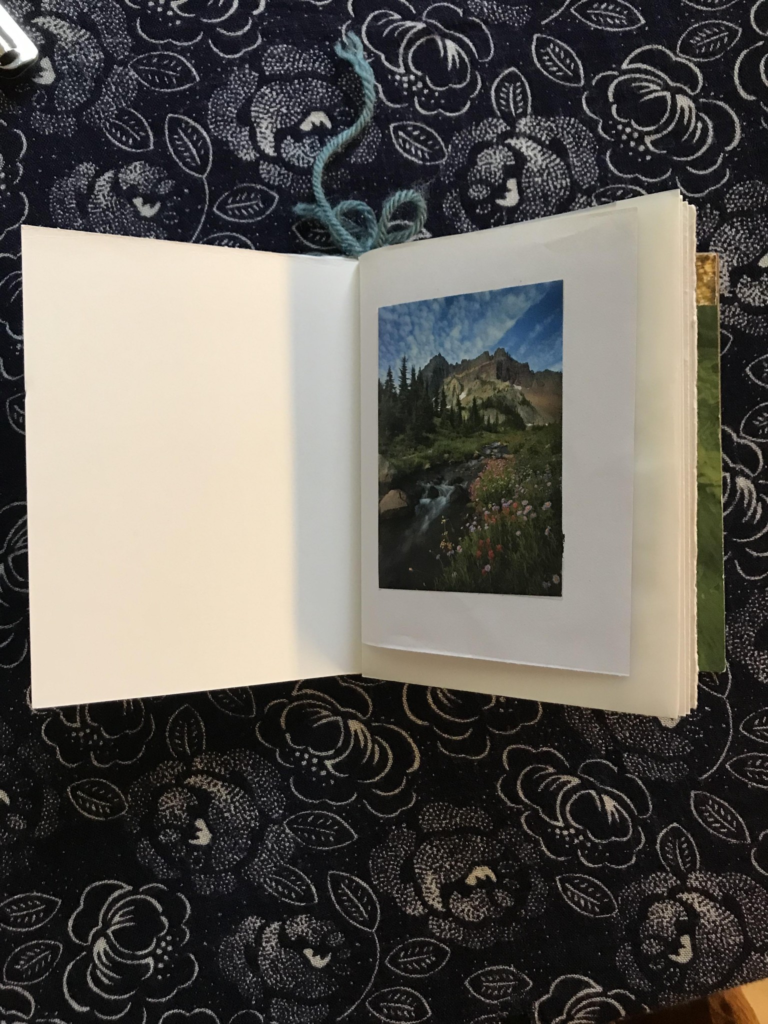 Scribbler's Notebooks - image 2 - student project