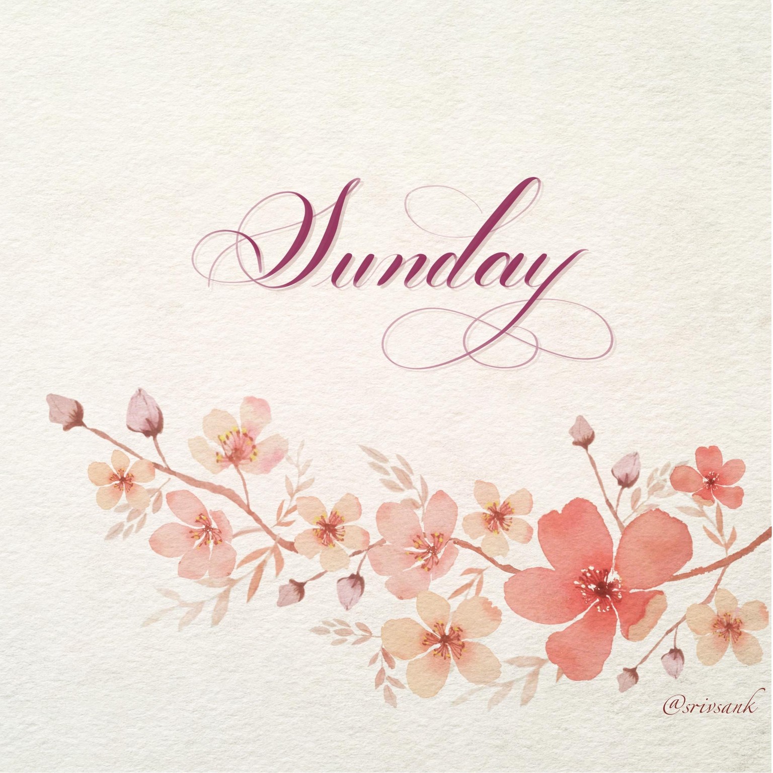 Hello Sunday - image 1 - student project