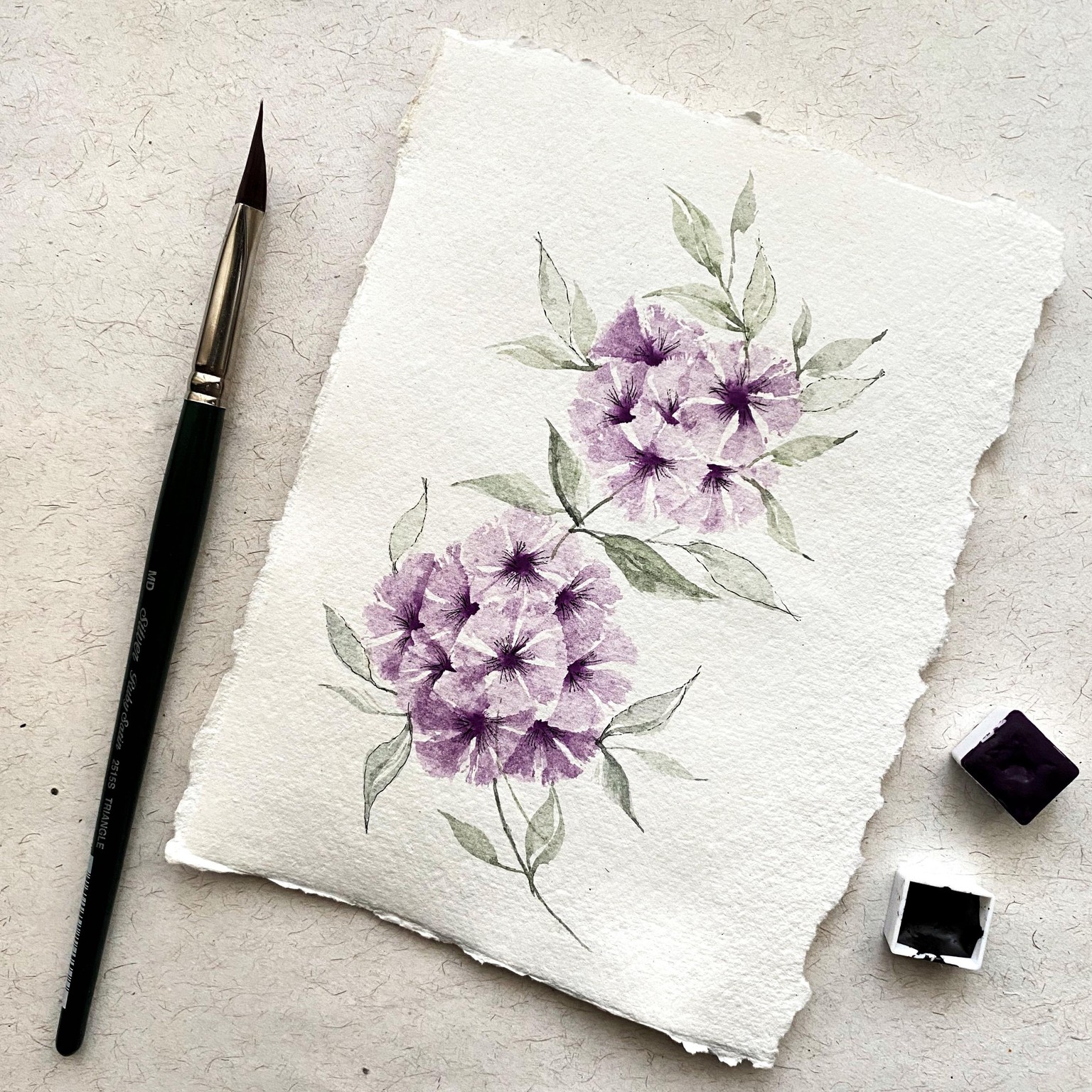 Violet blooms - image 1 - student project