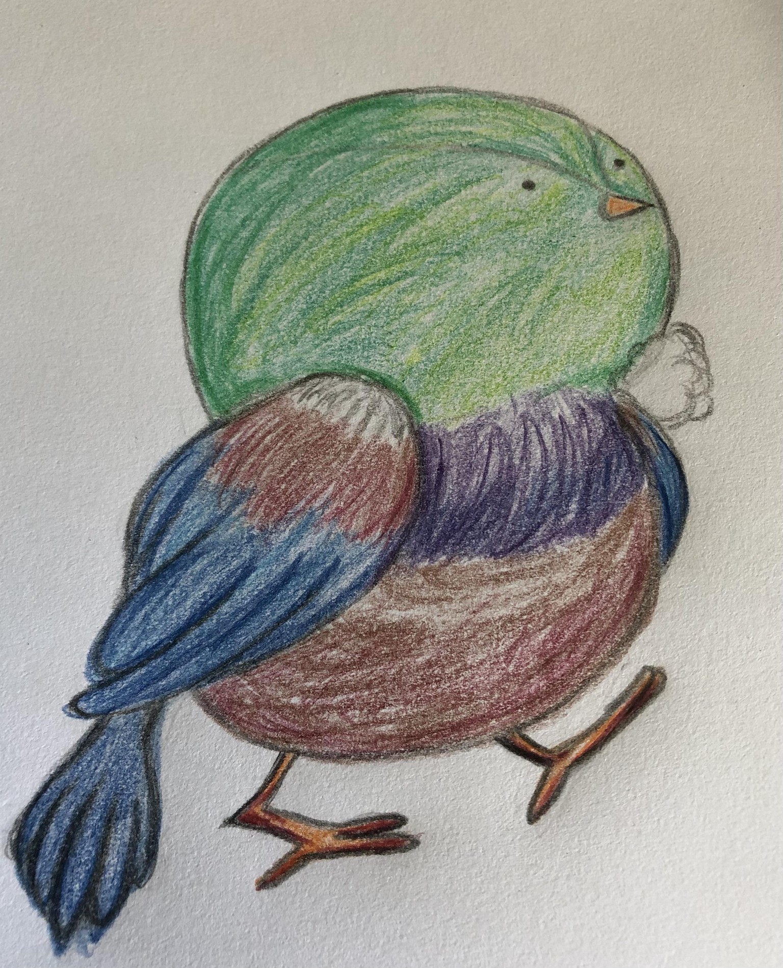 My Cute Birds - image 7 - student project