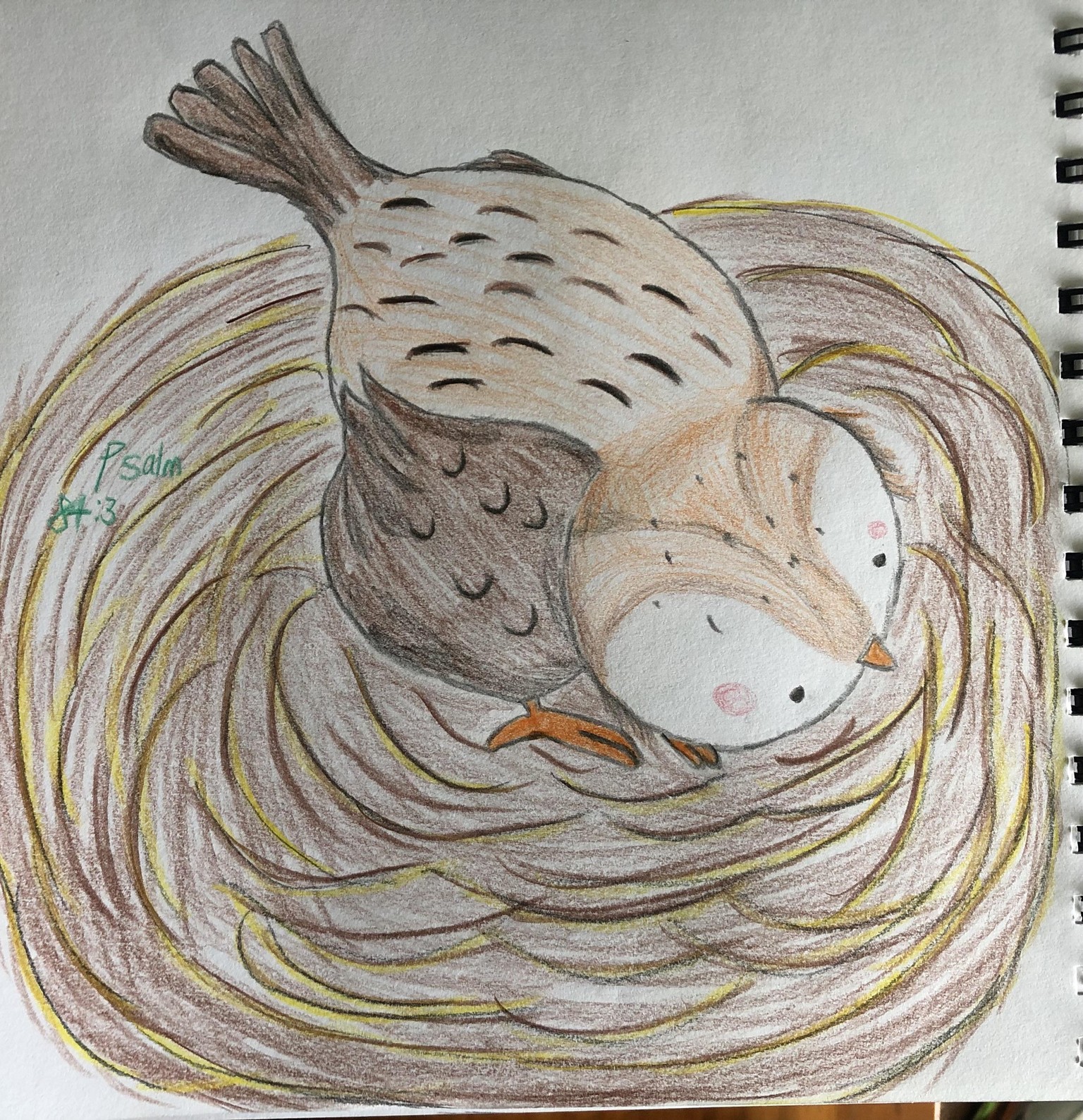 My Cute Birds - image 5 - student project
