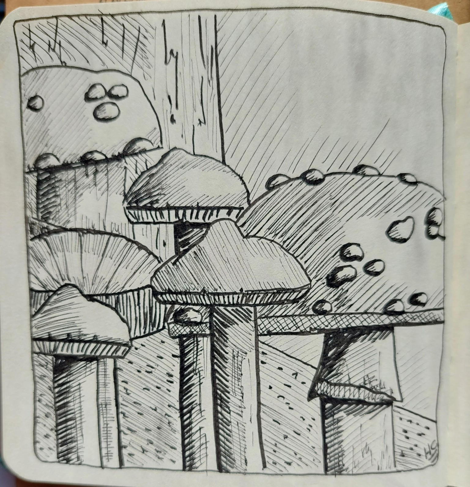 exercise of mushrooms in pen - image 1 - student project