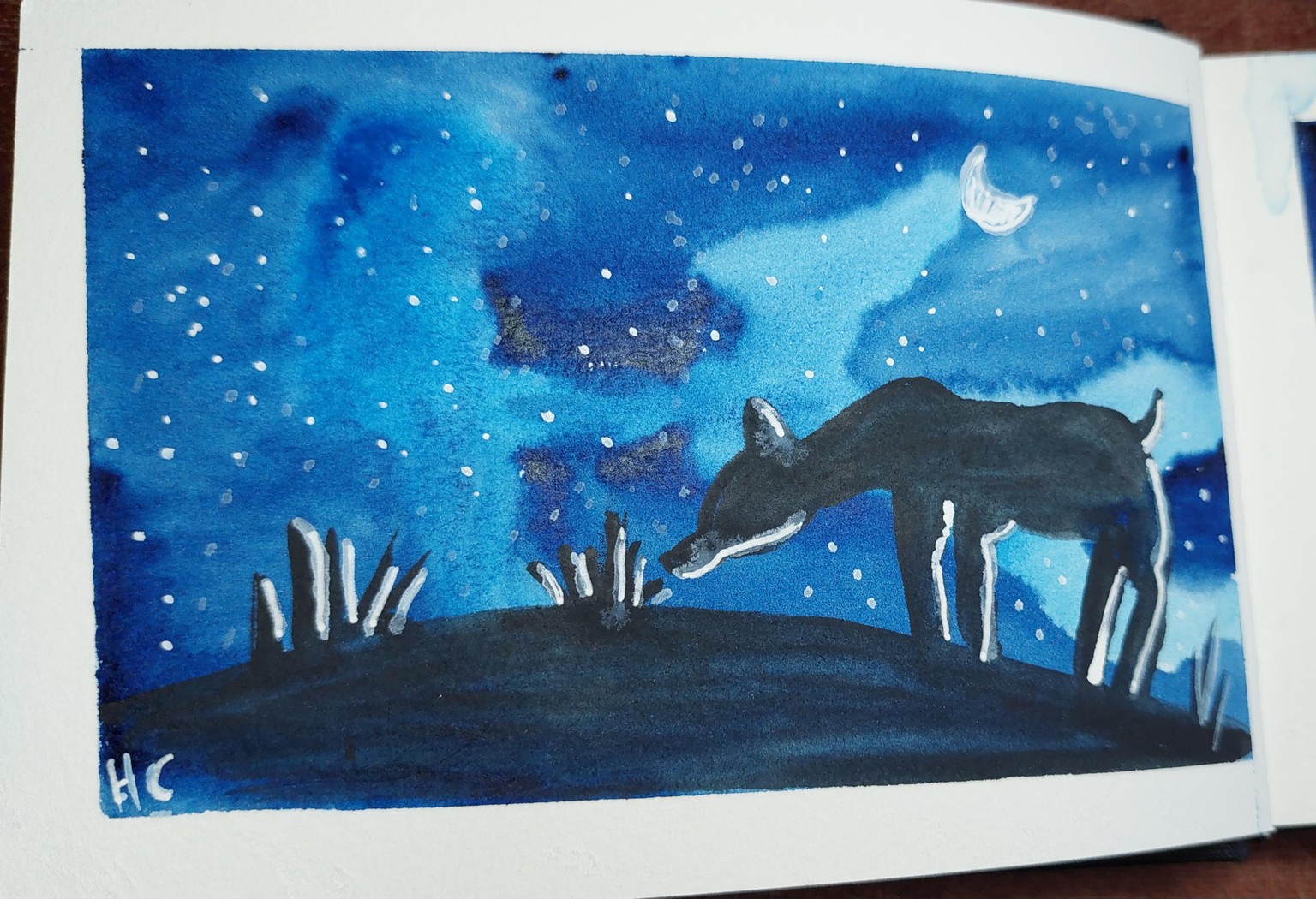 lights in the sky - image 5 - student project