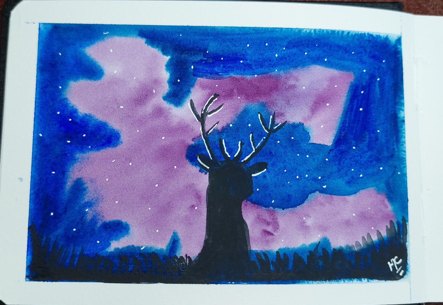 lights in the sky - image 8 - student project