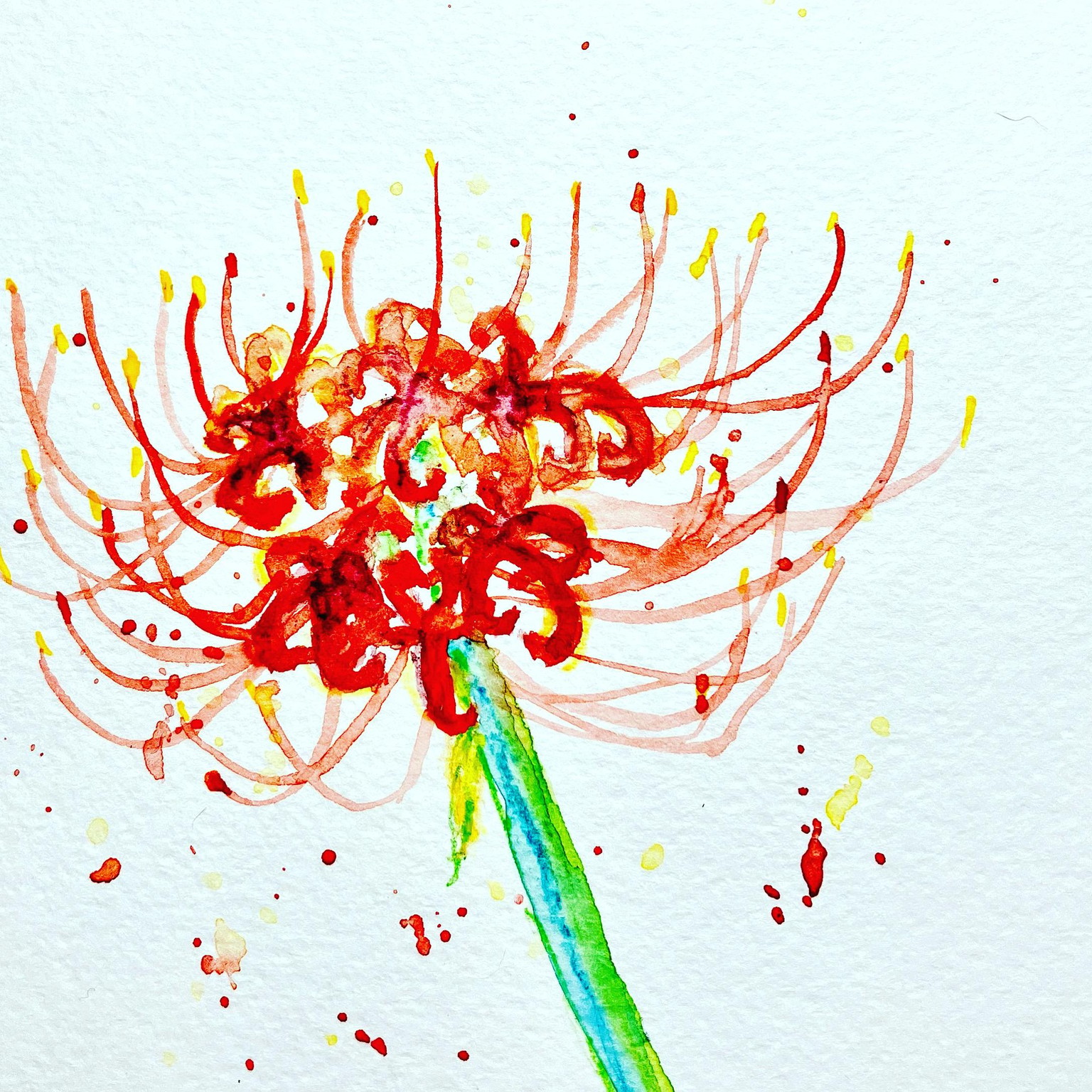 Watercolor Sketchbook - image 3 - student project