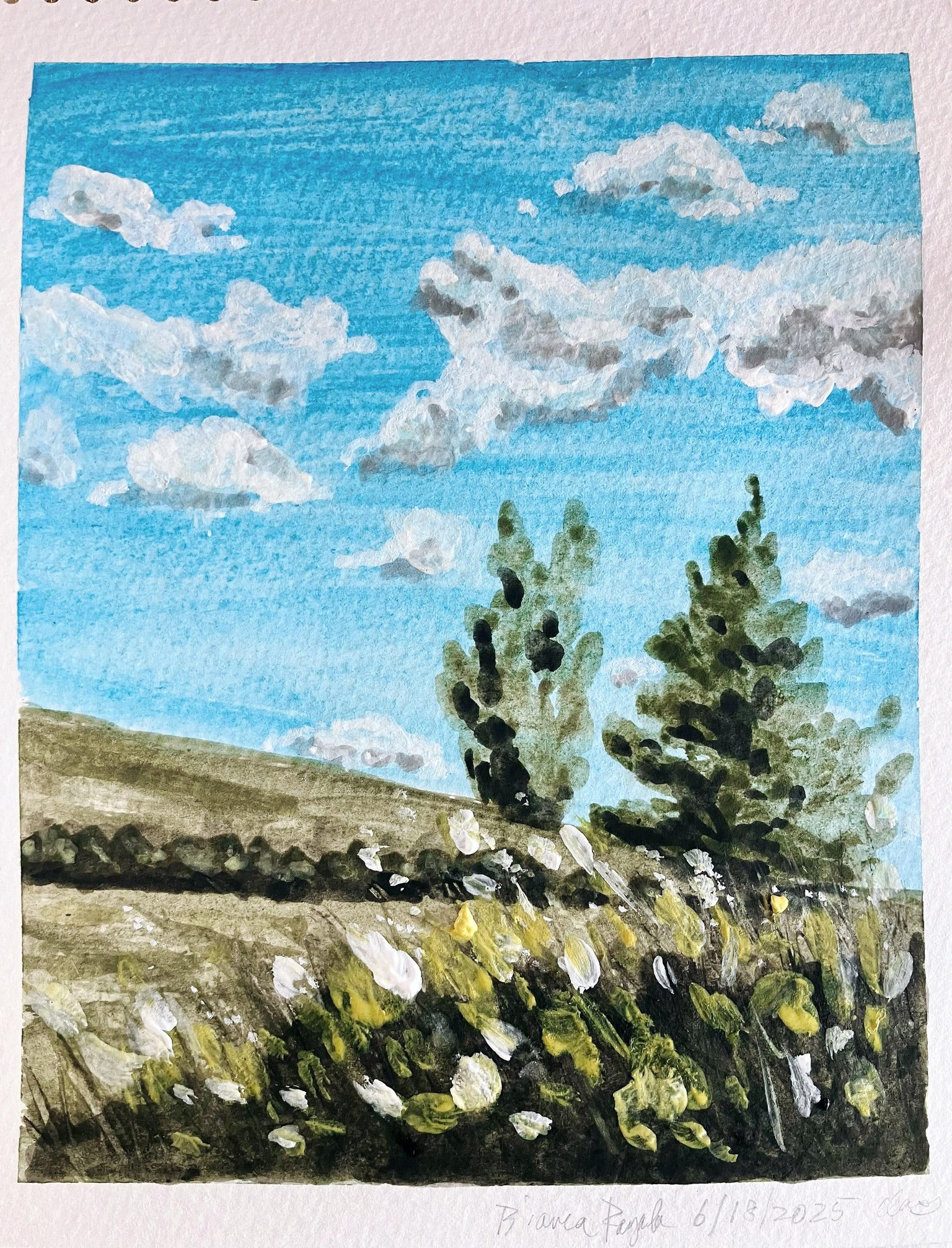 Beginner's Gouache - image 1 - student project