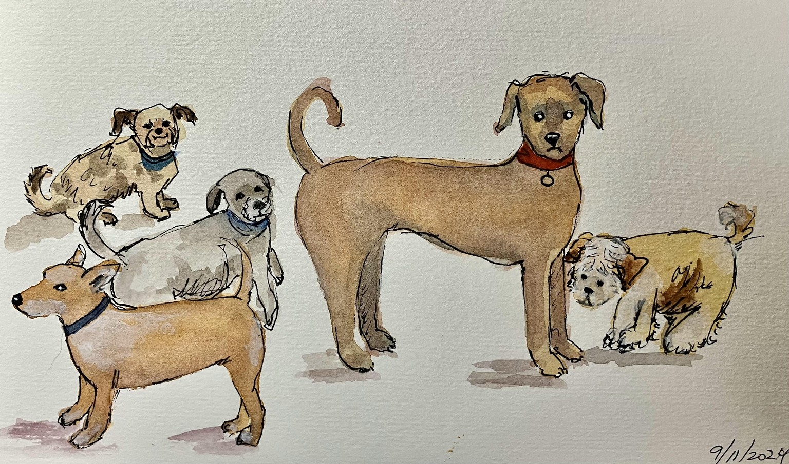 Easy and Fun Watercolor Dogs and other Critters - image 3 - student project