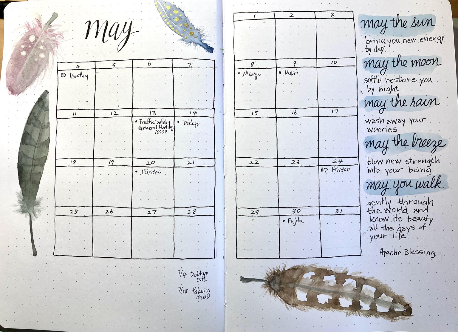 Decorative Watercolor Feathers - image 1 - student project