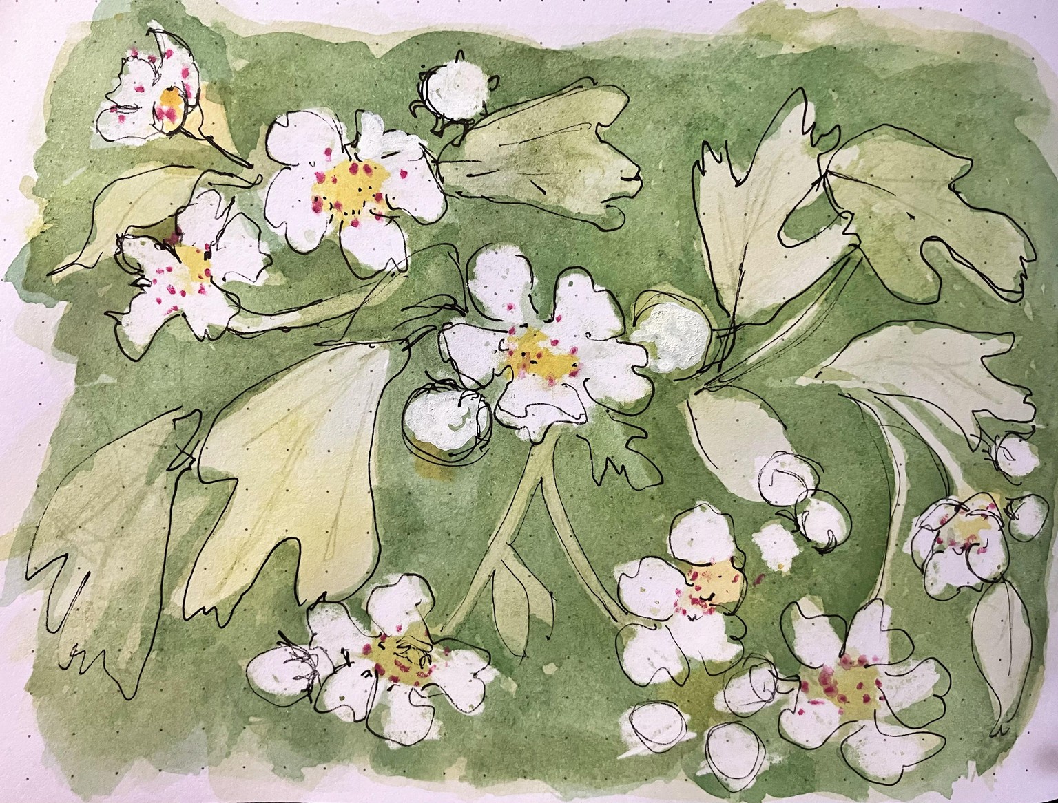 Ink and Toned Paper Sketches - image 4 - student project