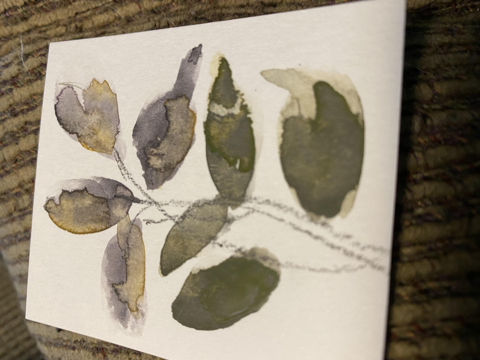 Milkweed abstracts and others - image 4 - student project