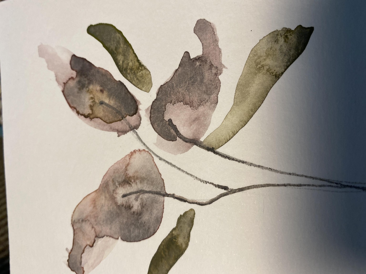 Milkweed abstracts and others - image 1 - student project
