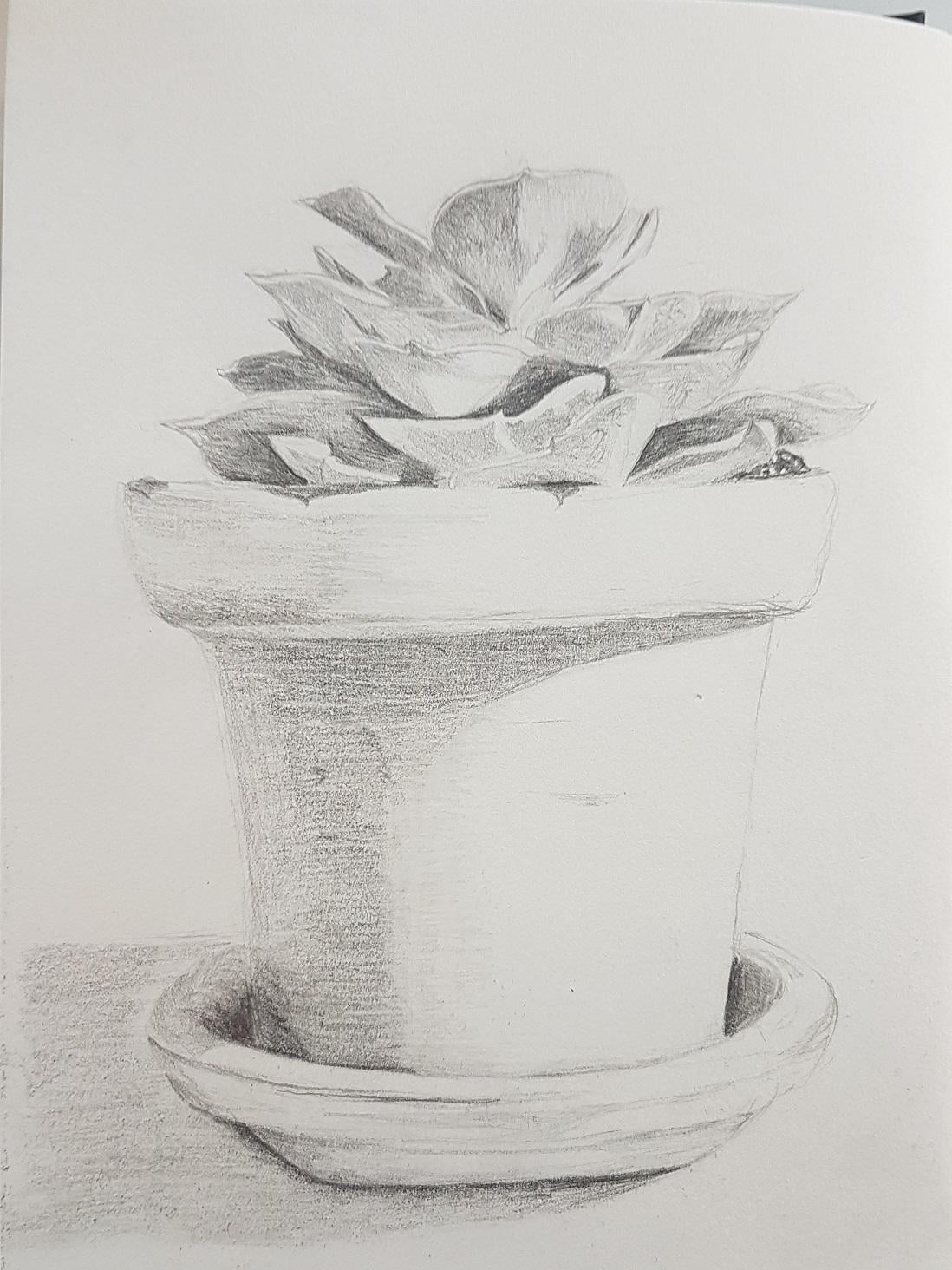 shading assignment - image 1 - student project
